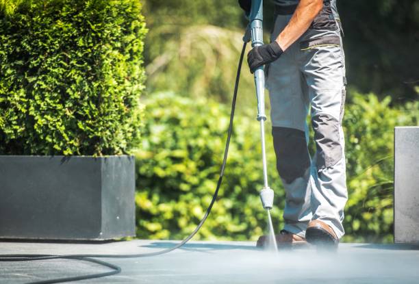 Best House Exterior Washing  in Bloomfield, NY