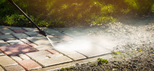 Best Driveway Pressure Washing  in Bloomfield, NY