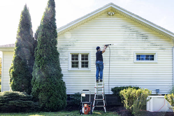 Best Solar Panel Cleaning  in Bloomfield, NY